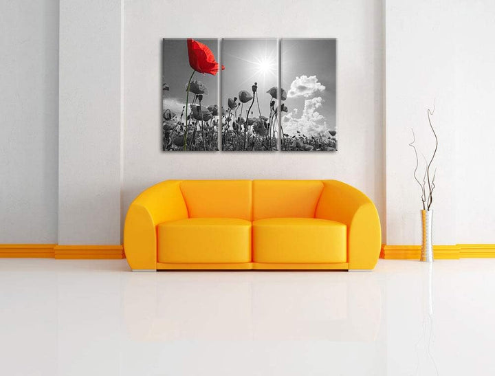 Pixxprint Mohnblumenfeld im Sommer als Leinwandbild | Grösse: 3 Teilig (120x80) | Wandbild| Kunstdru