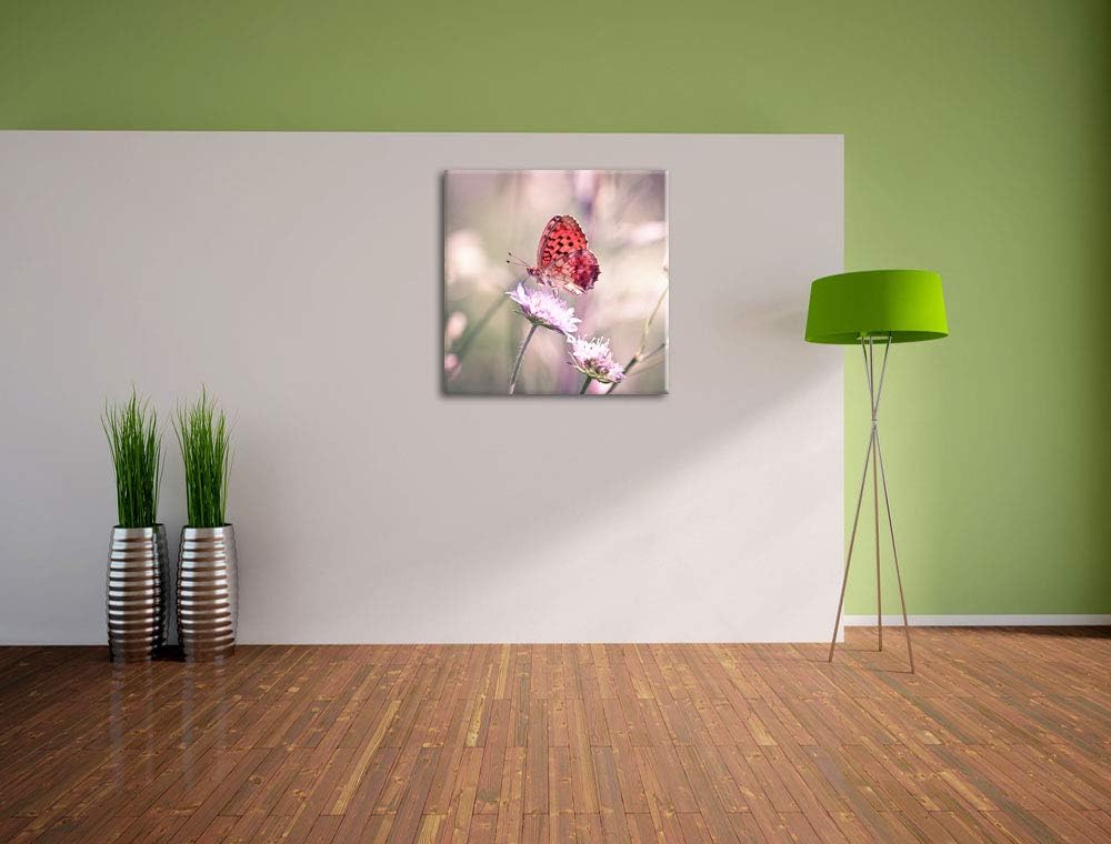 Bezaubernder Schmetterling, Format: 70x70 auf Leinwand, XXL riesige Bilder fertig gerahmt mit Keilra
