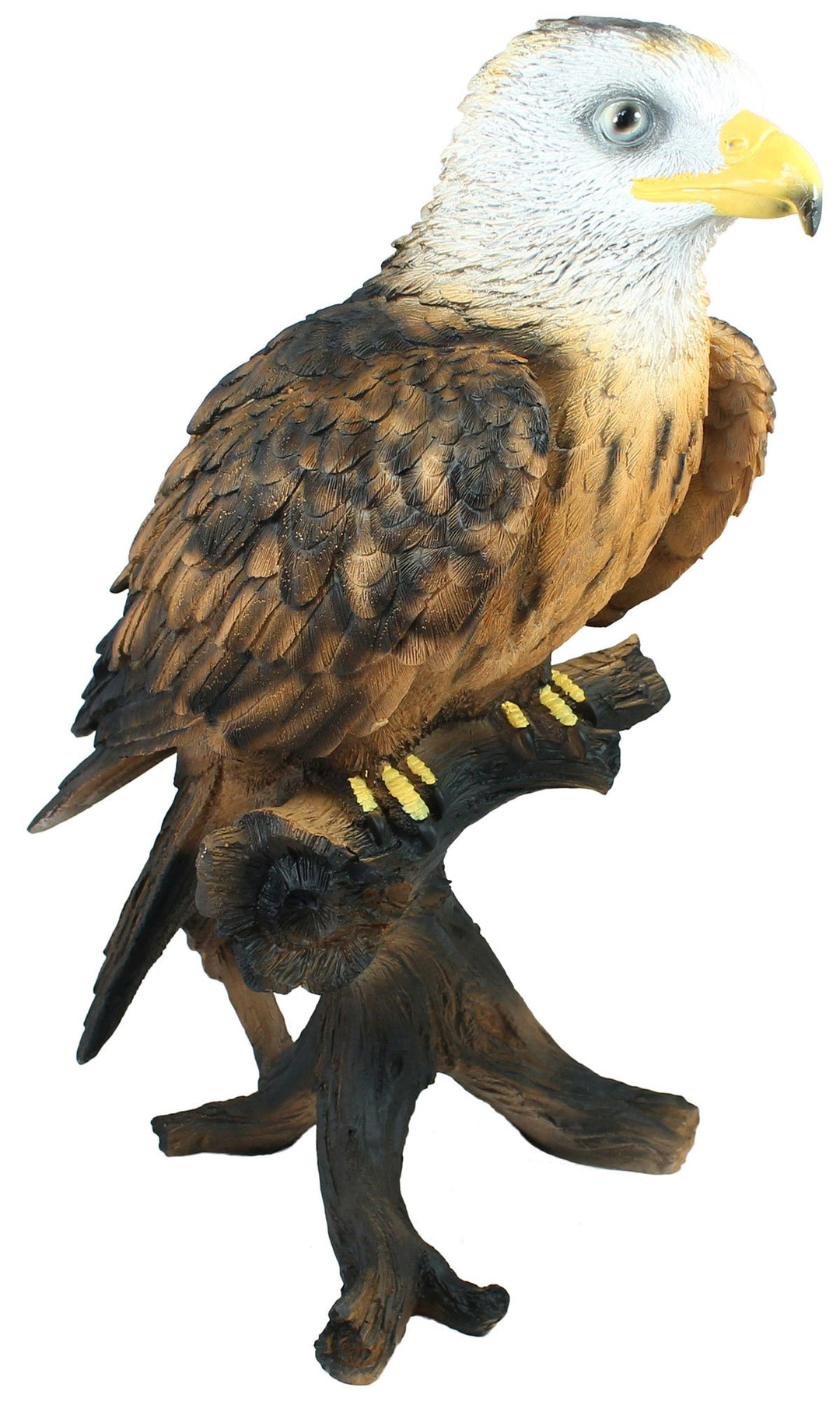 colourliving Dekofigur Weisskopfseeadler Greifvogel Höhe 50 cm Tierfigur Gartenfigur Vogeldeko Garte