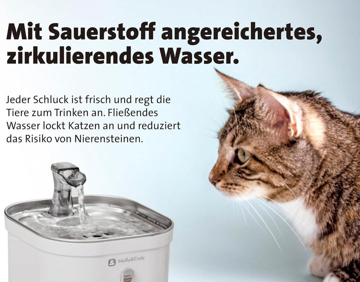 Molly&Cody Spring Trinkbrunnen für Katzen & Hunde (2L Wasserkapazität, automatischer Wasserspender,