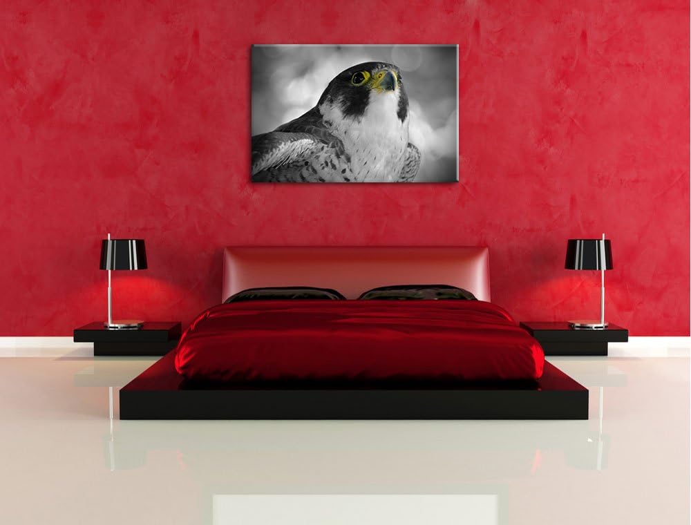 schöner anmutiger Adler schwarz/weiss auf Leinwand, XXL riesige Bilder fertig gerahmt mit Keilrahmen