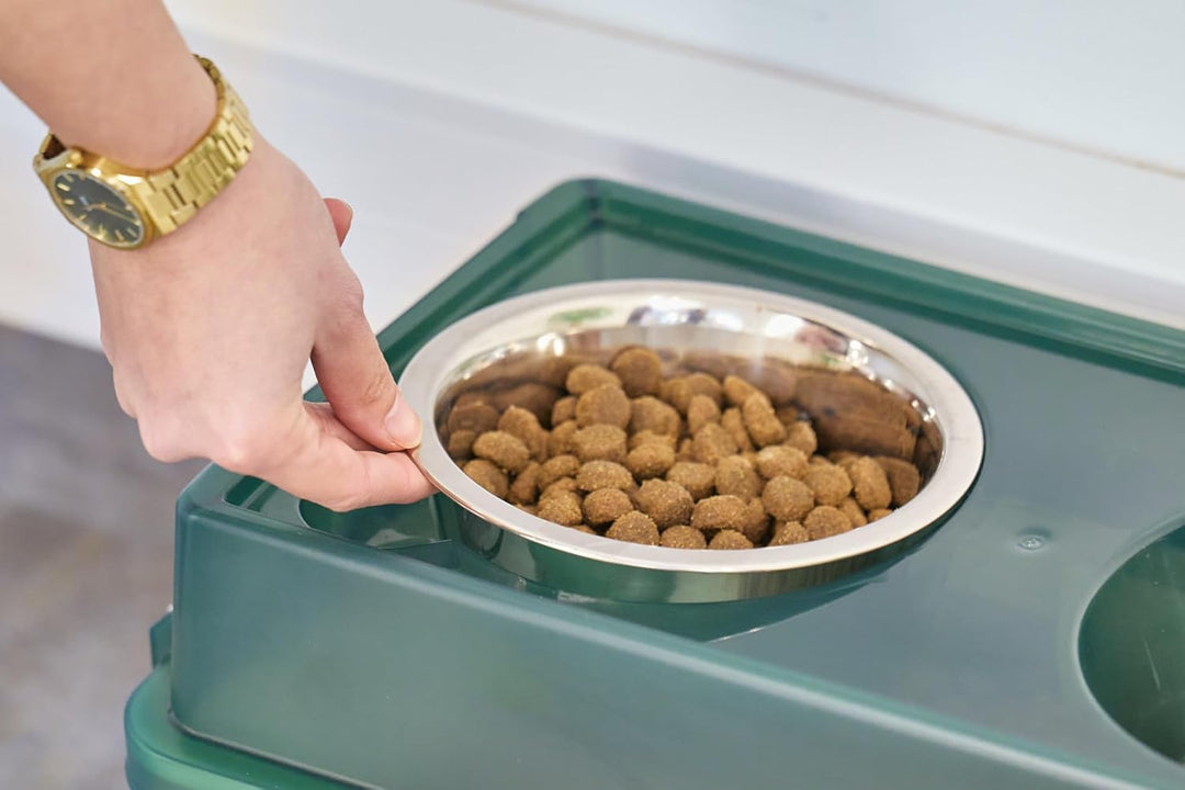 Iris Ohyama, Erhöhtes Futterstation mit Kunststoff-Box, 5L, Grün, Erhöhte Futterstation für Hunde, K