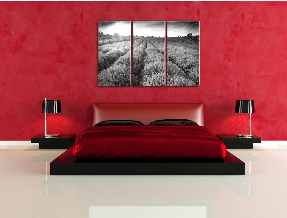 Pixxprint Lavendelfeld in Frankreich / 3-Teilig/Gesamtmass 120cm Leinwandbild bespannt auf Holzrahme