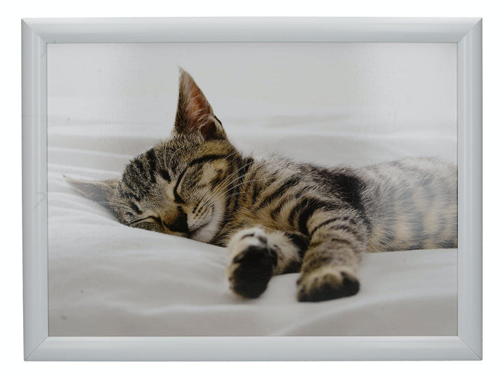 Creative Tops Kitten Schosstablett mit Kissen, Beanbag gepolstert, 44 x 34cm, Mehrfarbig Kätzchen Ei