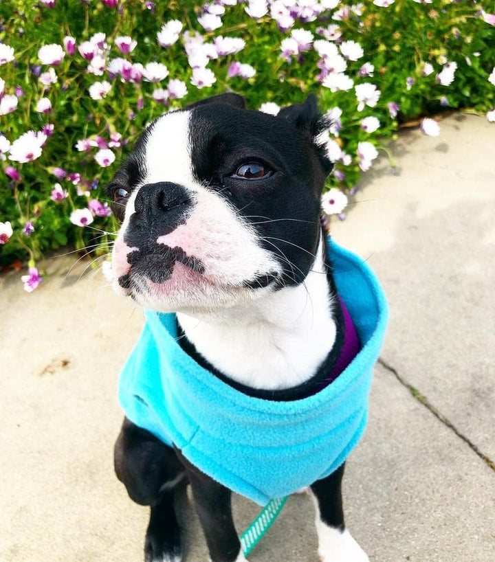 Gooby - Stretch-Fleece-Weste, Pullover, Fleece-Weste, Jacke, Pullover für Hunde, Minze, X-Large mint