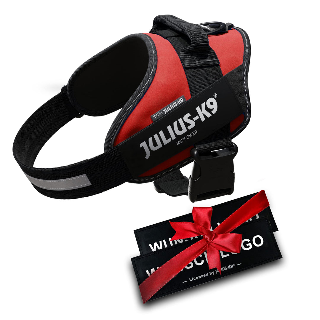 JULIUS K-9 IDC Powergeschirre Rot mit individuelle Klettaufschriften Bundle optionale Grösse, 16IDC+