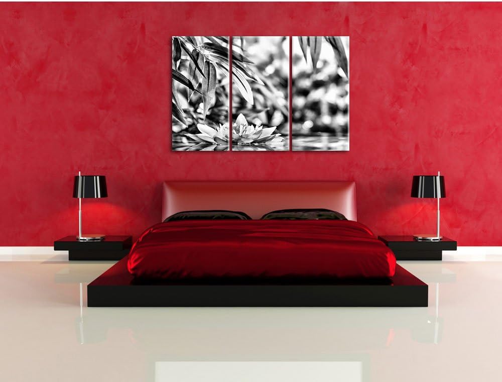 Pixxprint Weisse Seerose im Wasser Wellness als Leinwandbild/Grösse: 3 Teilig (120x80) cm/Wandbild/K
