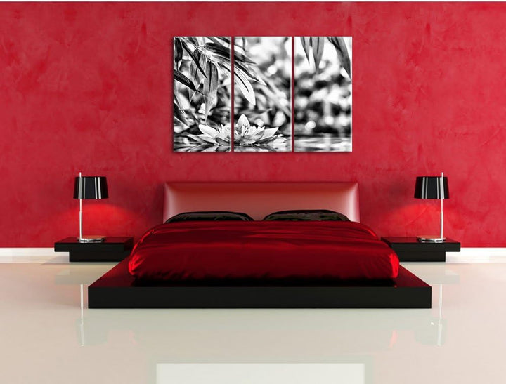 Pixxprint Weisse Seerose im Wasser Wellness als Leinwandbild/Grösse: 3 Teilig (120x80) cm/Wandbild/K