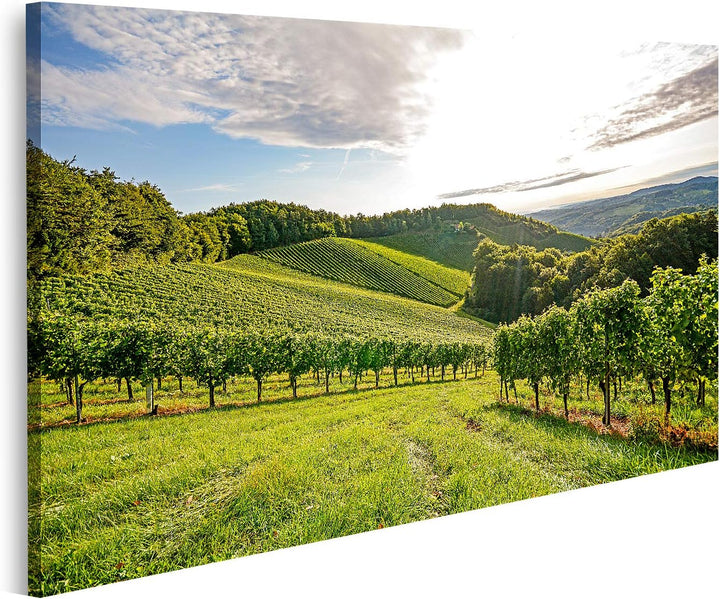 islandburner Bild auf Leinwand Weinberge Sonne Vor Der Ernte Europa Bilder Wandbilder Poster Leinwan