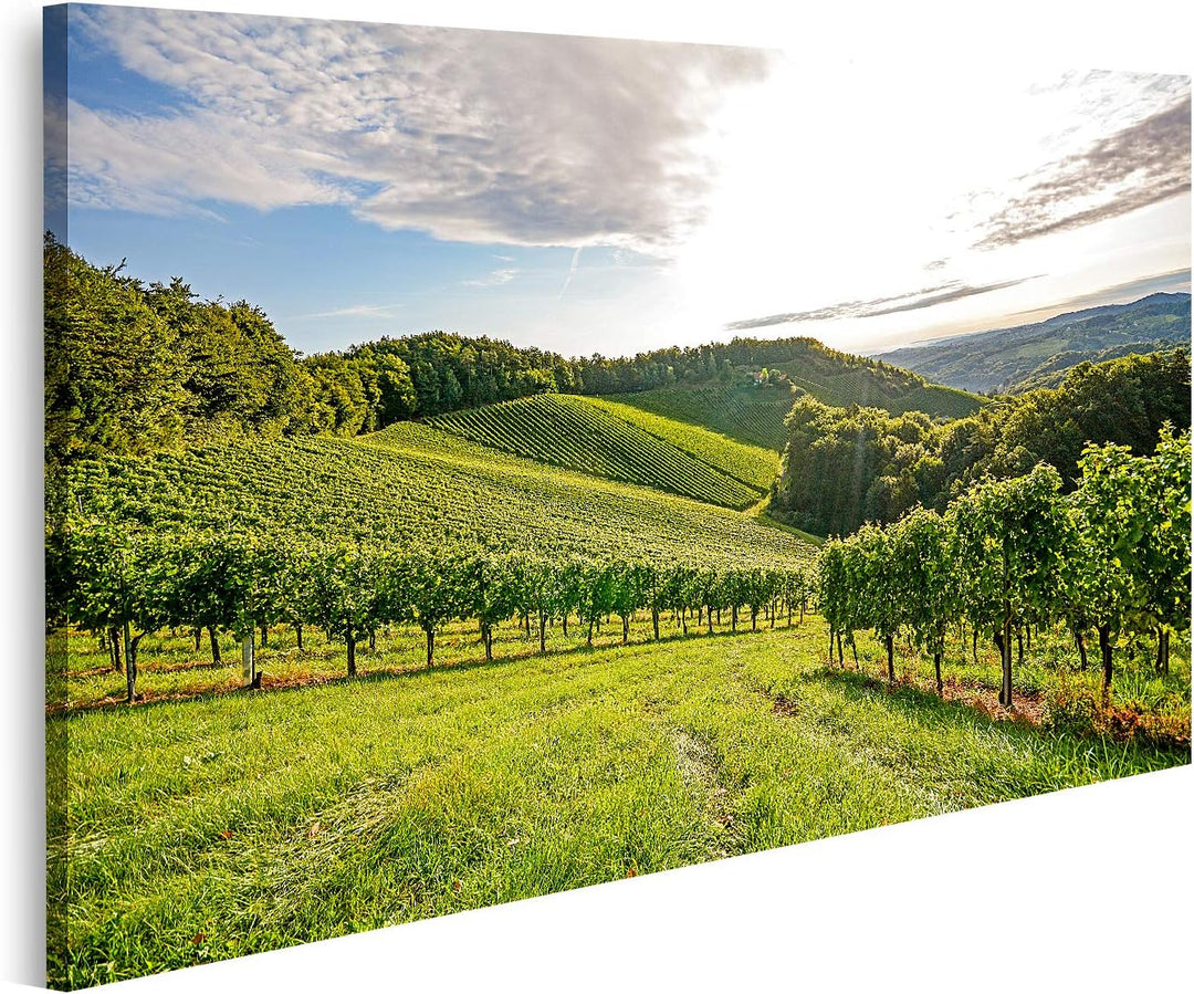 islandburner Bild auf Leinwand Weinberge Sonne Vor Der Ernte Europa Bilder Wandbilder Poster Leinwan