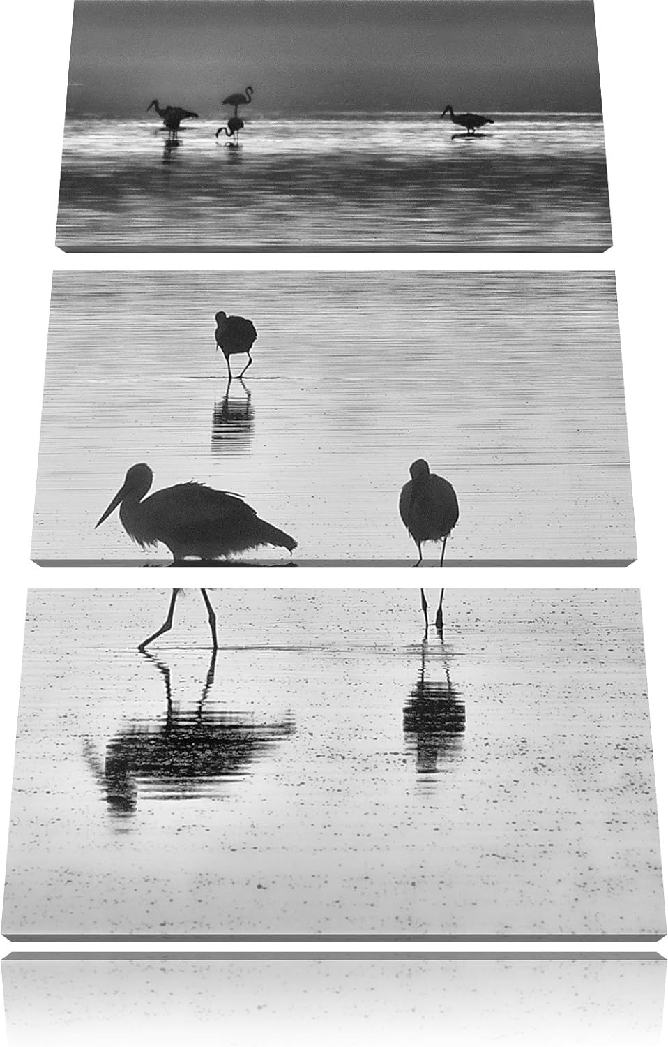 Pixxprint Störche im Wasser als Leinwandbild | Grösse: 3 Teilig (120x80) | Wandbild| Kunstdruck | fe