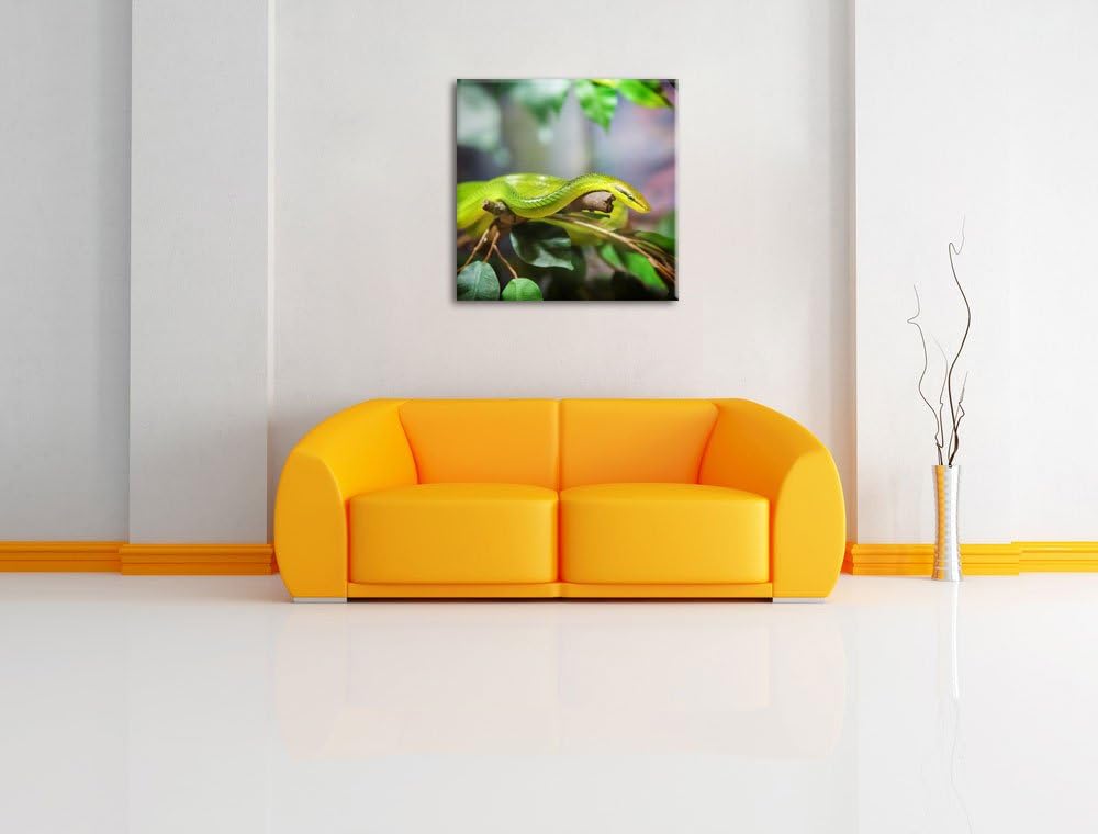 Raue grüne Schlange, Format: 70x70 auf Leinwand, XXL riesige Bilder fertig gerahmt mit Keilrahmen, K