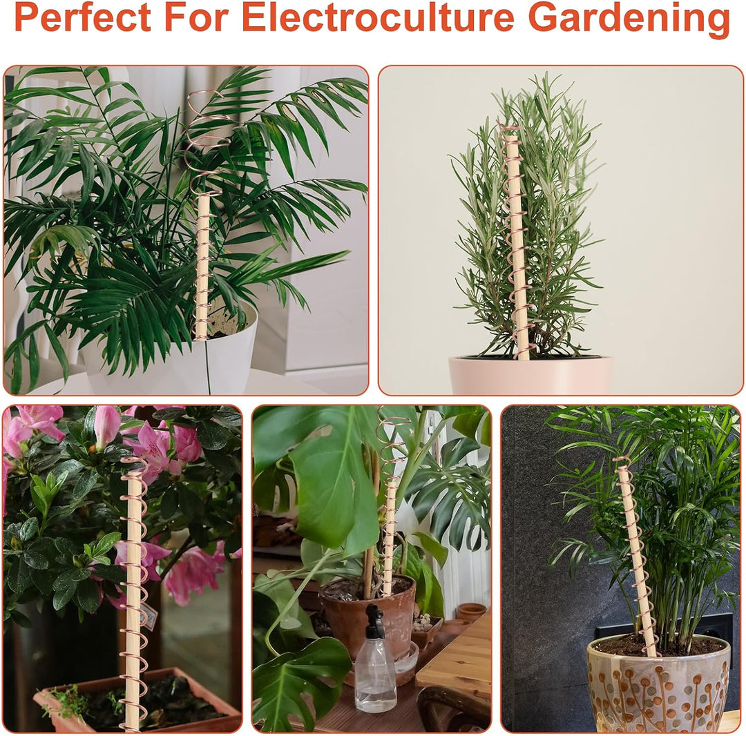Electroculture Gardening Kupferdraht, 20m 99,9% Reiner Kupferdraht 16 Gauge blanker Kupferdraht für