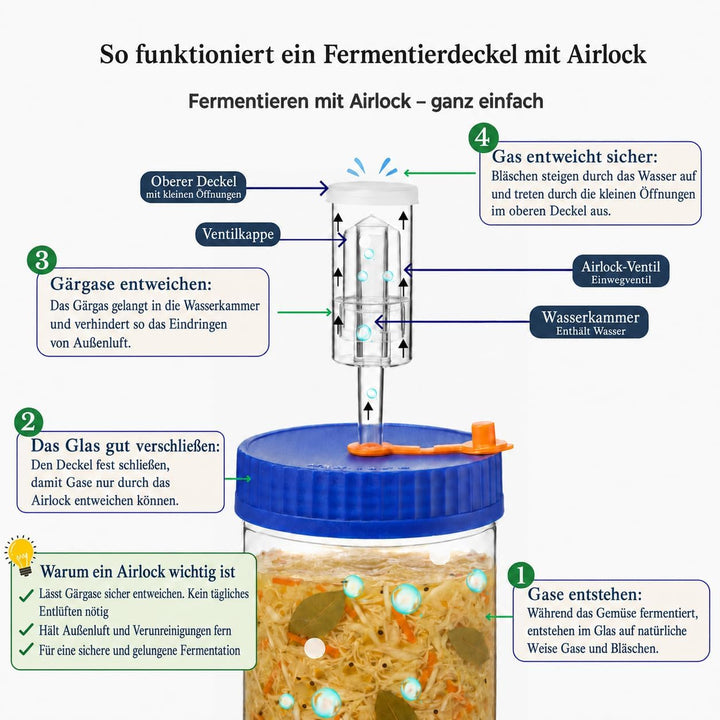 Fermentierglas 1,5L Fermentierset aus Borosilikatglas mit Gewicht für Sauerkraut, Hot Sauce, Met, Ci
