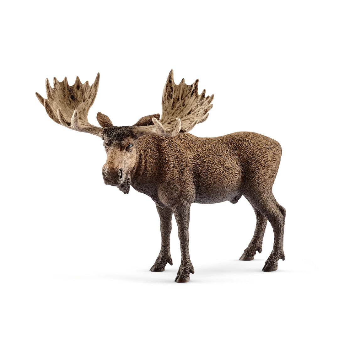 SCHLEICH 14781 Elch Bulle, für Kinder ab 3+ Jahren, WILD Life - Spielfigur alte Version, alte Versio