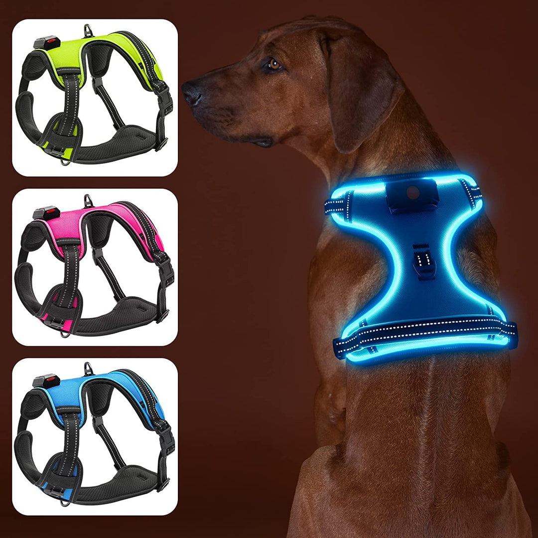 Bpawser Light Up Hundegeschirr LED Hundegeschirr No-Pull mit Griff Wiederaufladbare beleuchtete Hund