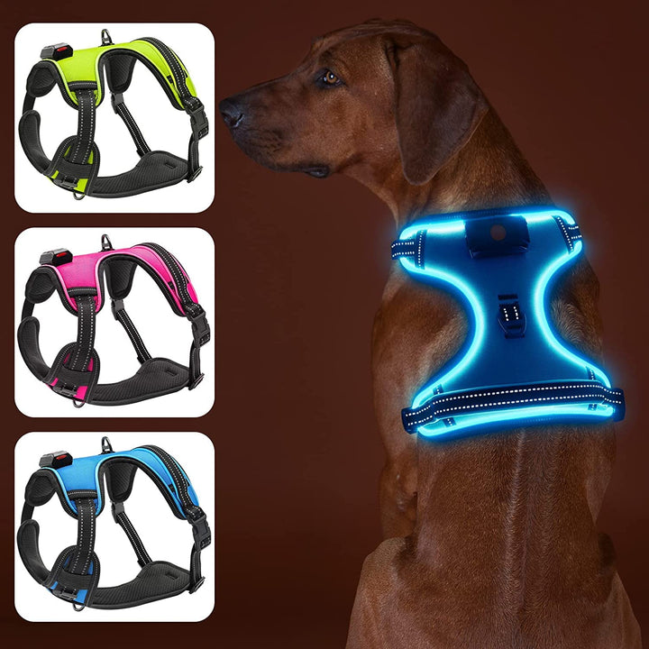 Bpawser Light Up Hundegeschirr LED Hundegeschirr No-Pull mit Griff Wiederaufladbare beleuchtete Hund