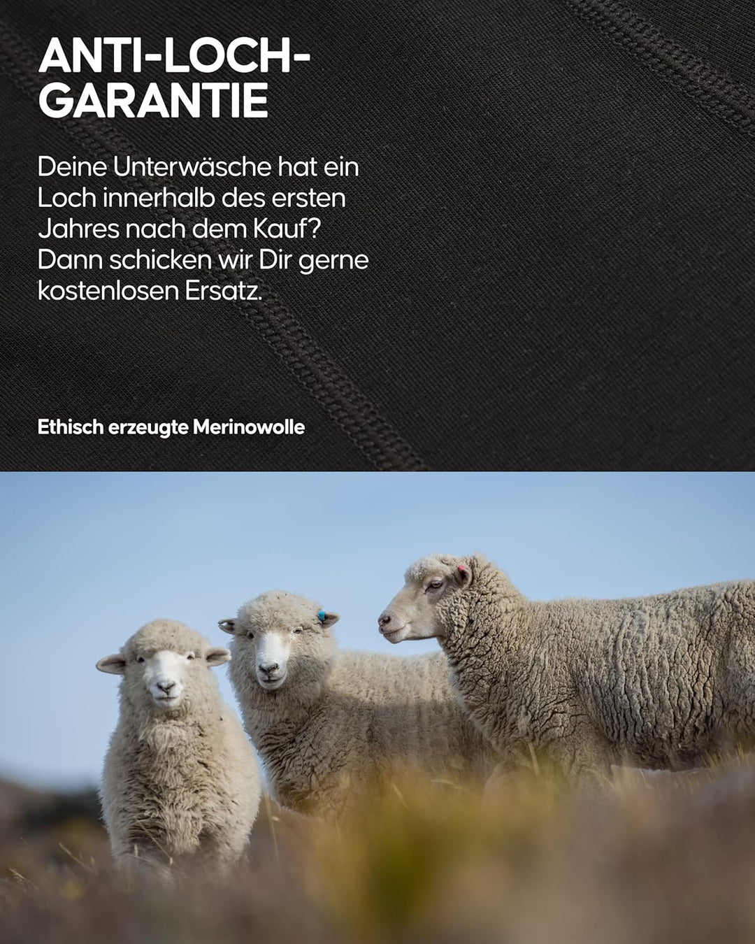 DANISH ENDURANCE Merino Boxershorts Herren (1er | 2er Pack), Unterwäsche Herren für Alltag, Sport &amp;