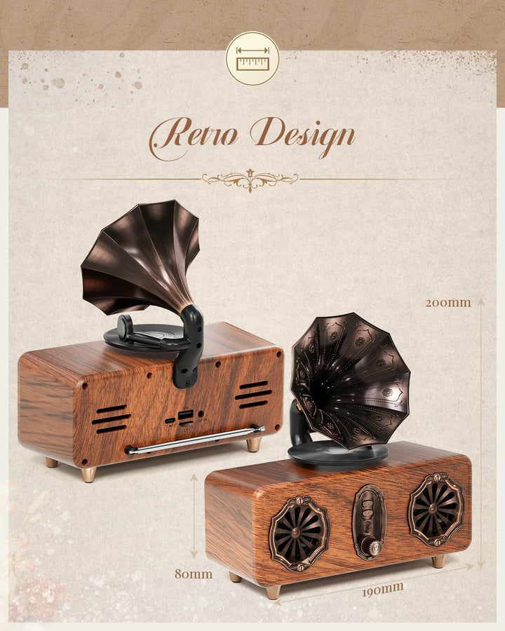 COLSUR Retro Bluetooth Lautsprecher Vintage FM Radio unterstützt TF-Karte/AUX/USB tragbarer kabellos