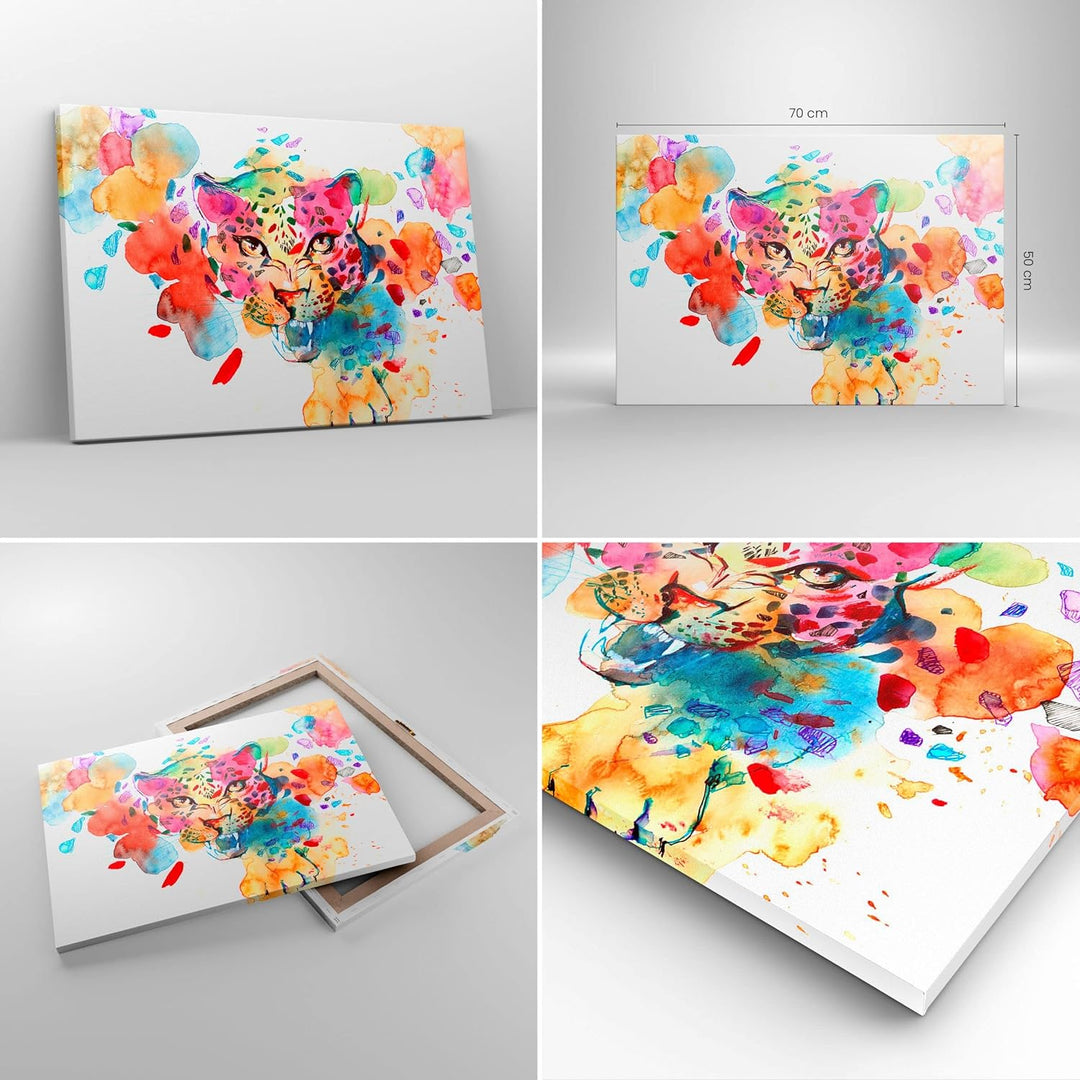 Bilder auf Leinwand Farbe Konzept Katze Leinwandbild mit Rahmen 70x50cm Wandbilder Dekoration Wohnzi