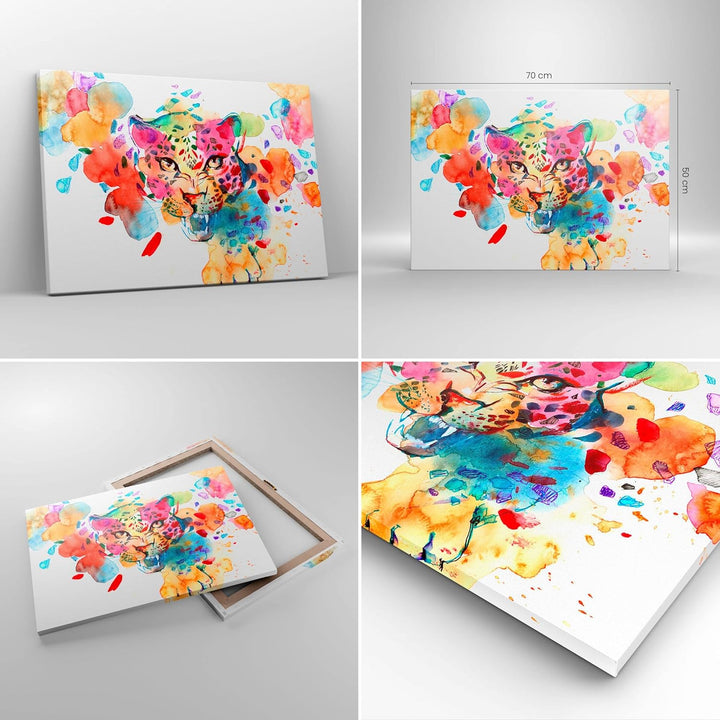 Bilder auf Leinwand Farbe Konzept Katze Leinwandbild mit Rahmen 70x50cm Wandbilder Dekoration Wohnzi