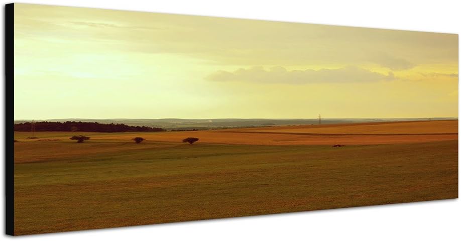 Paul Sinus Art Panoramabild auf Leinwand und Keilrahmen 150x50cm Landschaft Felder Wald Traktor Morg