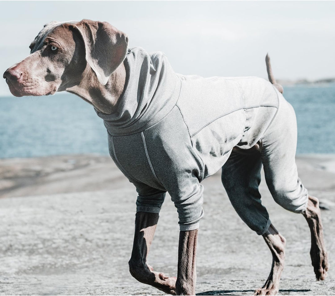 Hurtta Body Warmer Hunde-Body Recovery Suit Carbon Grey 12M grau 12M, grau 12M