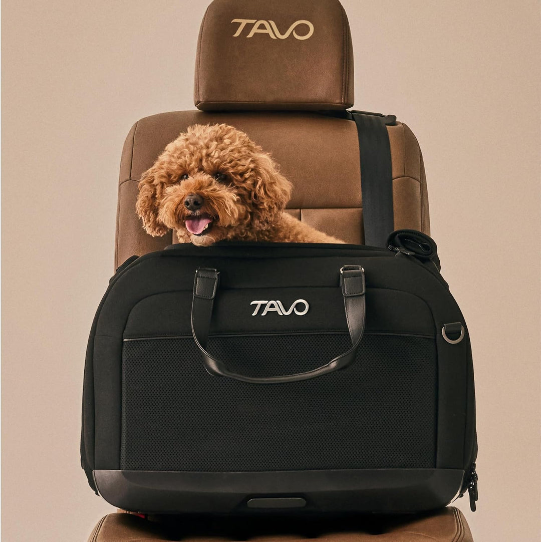Tavo Hendrick Haustier‑Autositz &amp; Transportbox, ISOFIX, Farbindikatoren, atmungsaktives Mesh, Geeign