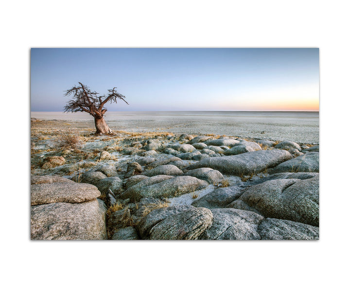 Paul Sinus Art 120x80cm - WANDBILD Affenbrotbaum Steine Afrika - Leinwandbild auf Keilrahmen modern