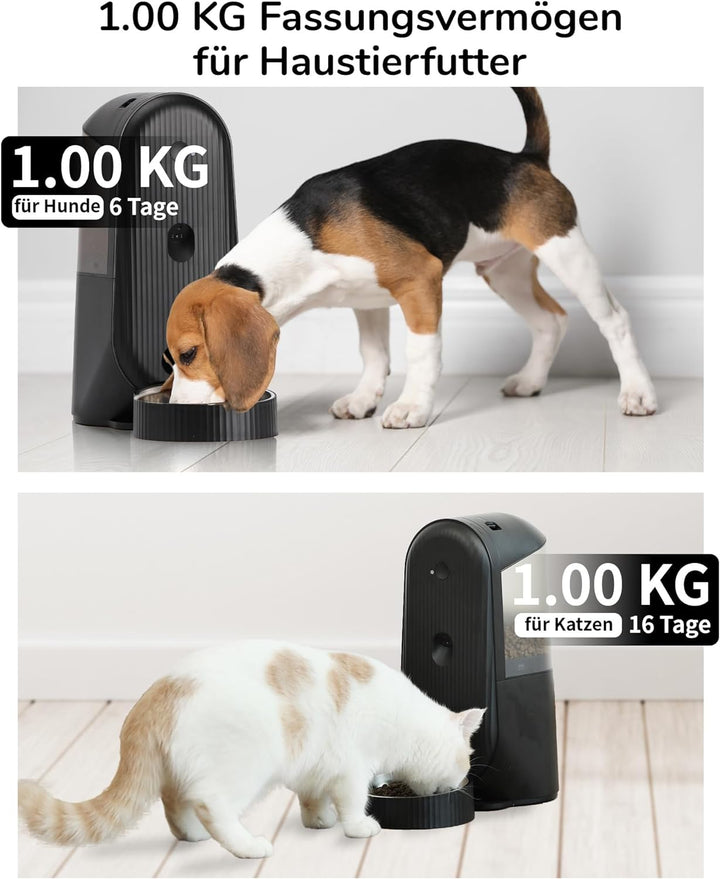 FUKUMARU Futterautomat Katze，4L Katzenfutter Automat WiFi, Automatischer Futterspender Katze mit Mas