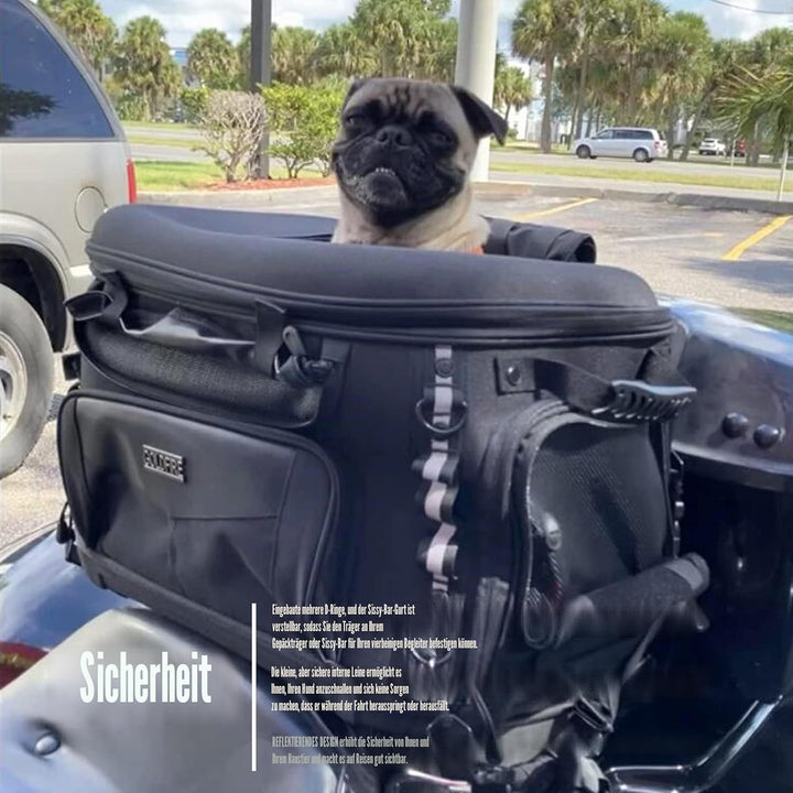 Hutexico Motorrad-Hundetragetasche, tragbare Haustier-Tragetasche, Haustier-Reisetasche, Katzentrage