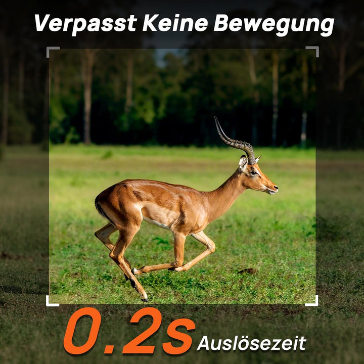 iZEEKER 2 in 1 Cloud 4G & Standard Wildkamera, 2K HD 48MP Wildkamera mit Bewegungsmelder Nachtsicht