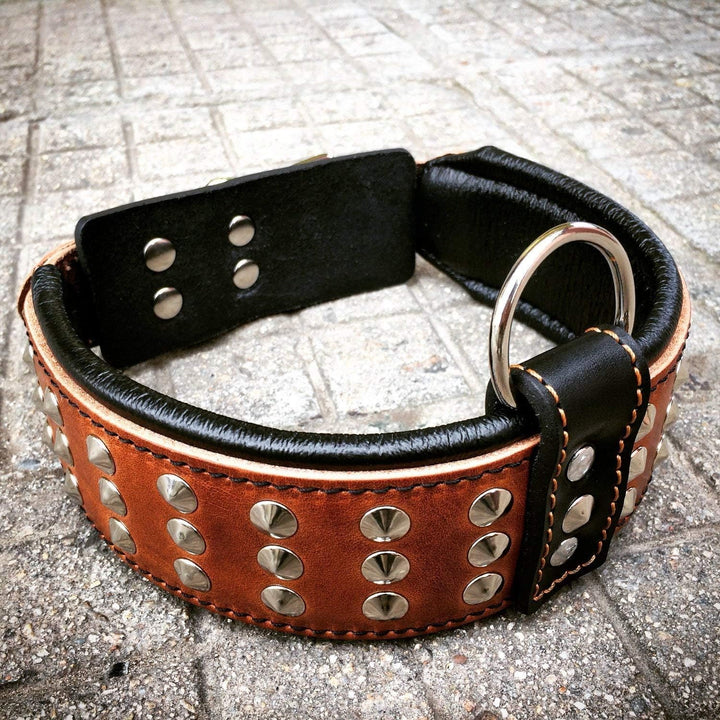 Bestia Star Hundehalsband mit Nieten und Innenpolsterung 6,5 cm Breit XL- 57.5 bis 65 cm Halsumfang