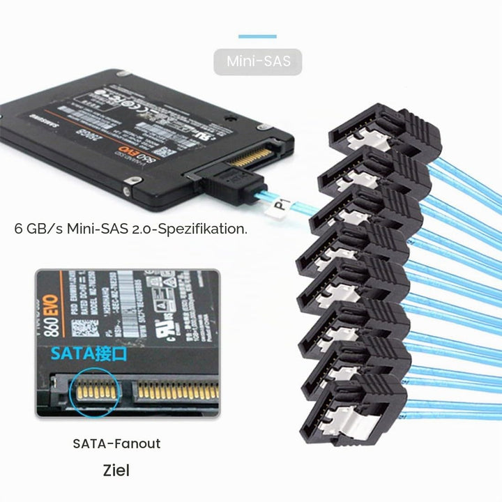 chenyang SlimSAS Host/RAID zu SATA Zielkabel, Slim SAS 4.0 SFF-8654 8i 74Pin 1 zu 8 SATA 7Pin Raid C