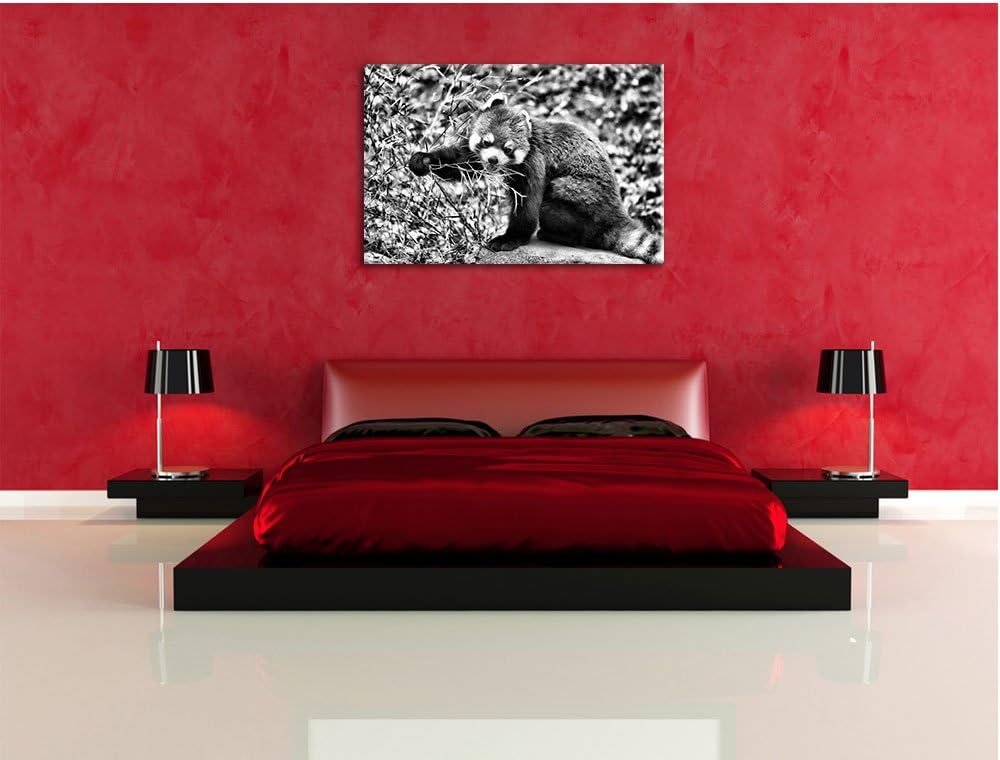 Pixxprint Niedlicher roter Panda als Leinwandbild/Grösse: 100x70 / Wandbild/Kunstdruck/fertig bespan