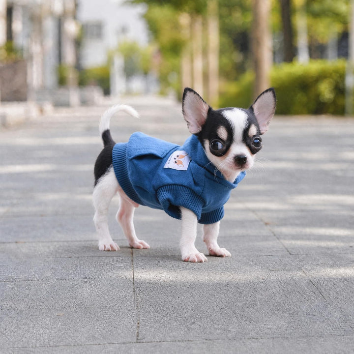 LOPHIPETS Hunde-Kapuzenpullover aus Baumwolle, für kleine Hunde, Chihuahua, Welpen, Kleidung, kaltes