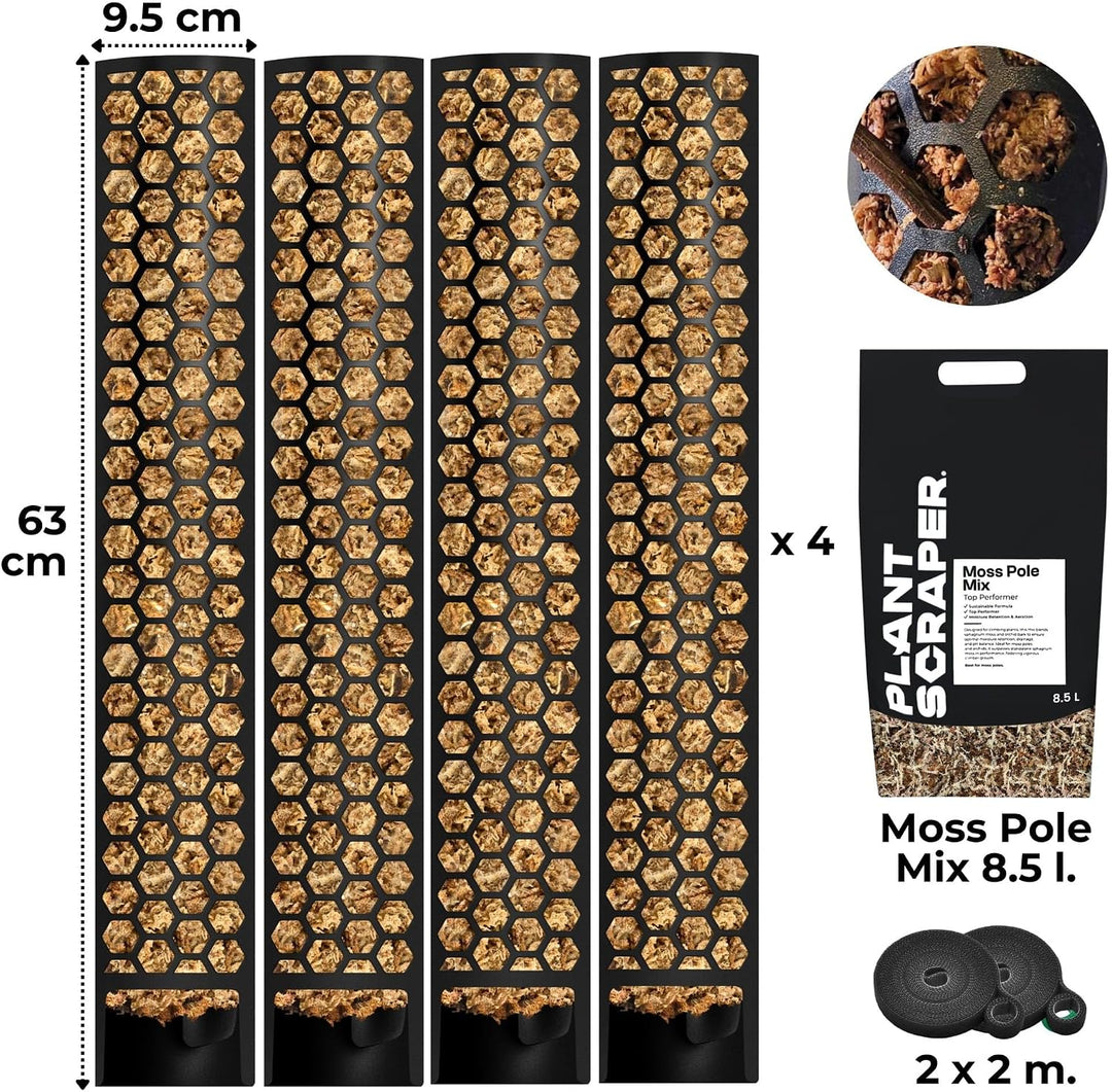 XL Moosstab für Monstera 4 x 63 cm - Erweiterbare Monstera Rankhilfe &amp; Zubehör-Set - Pflanzstäbe mit