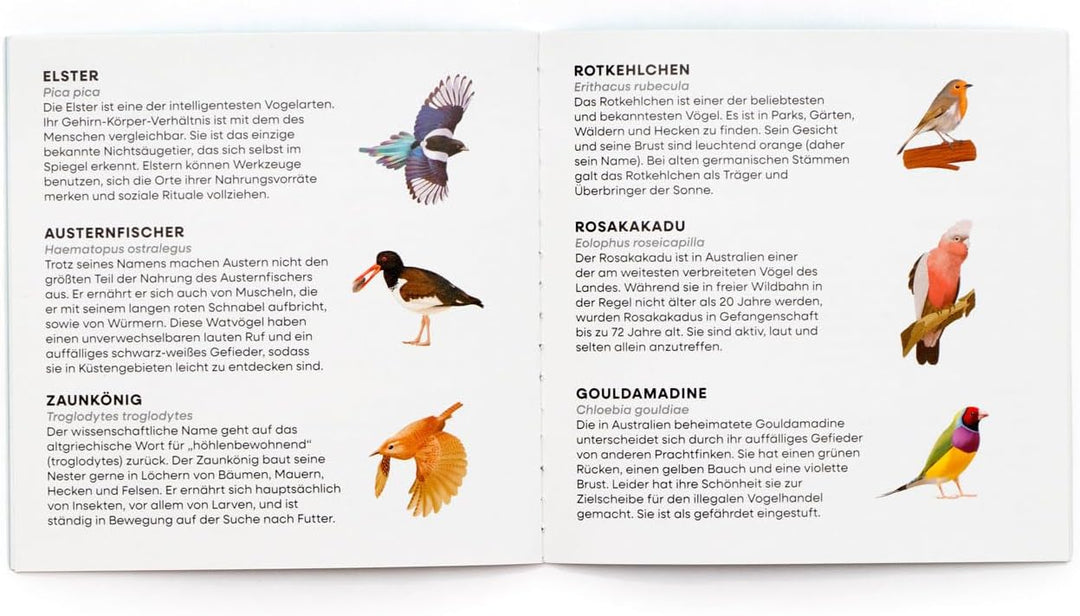 Finde den Vogel! EIN Suchspiel für die ganze Familie. Namasri Niumim