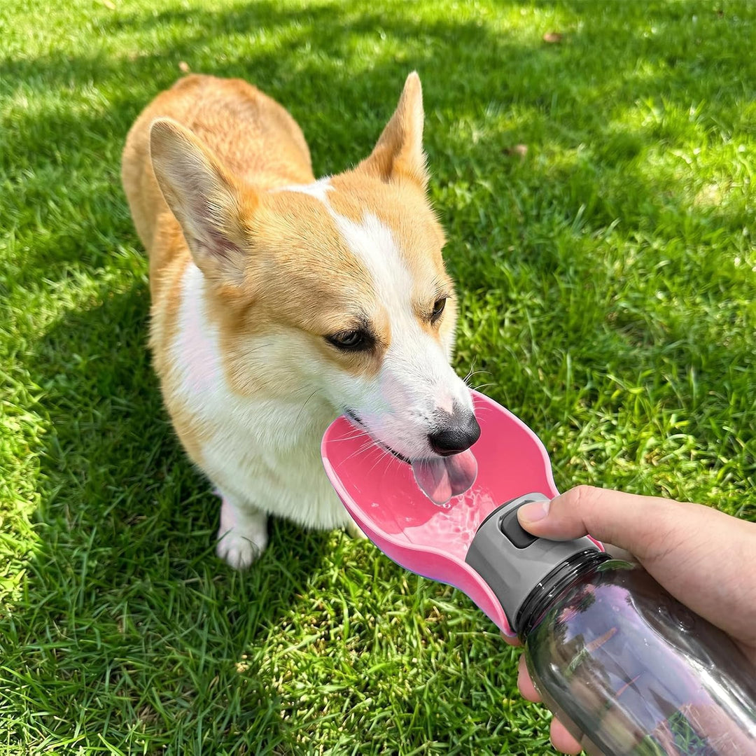 800ML Trinkflasche Hunde für Unterwegs, BPA Frei Wasserflasche Hunde Trinkflasche to Go für Spazierg