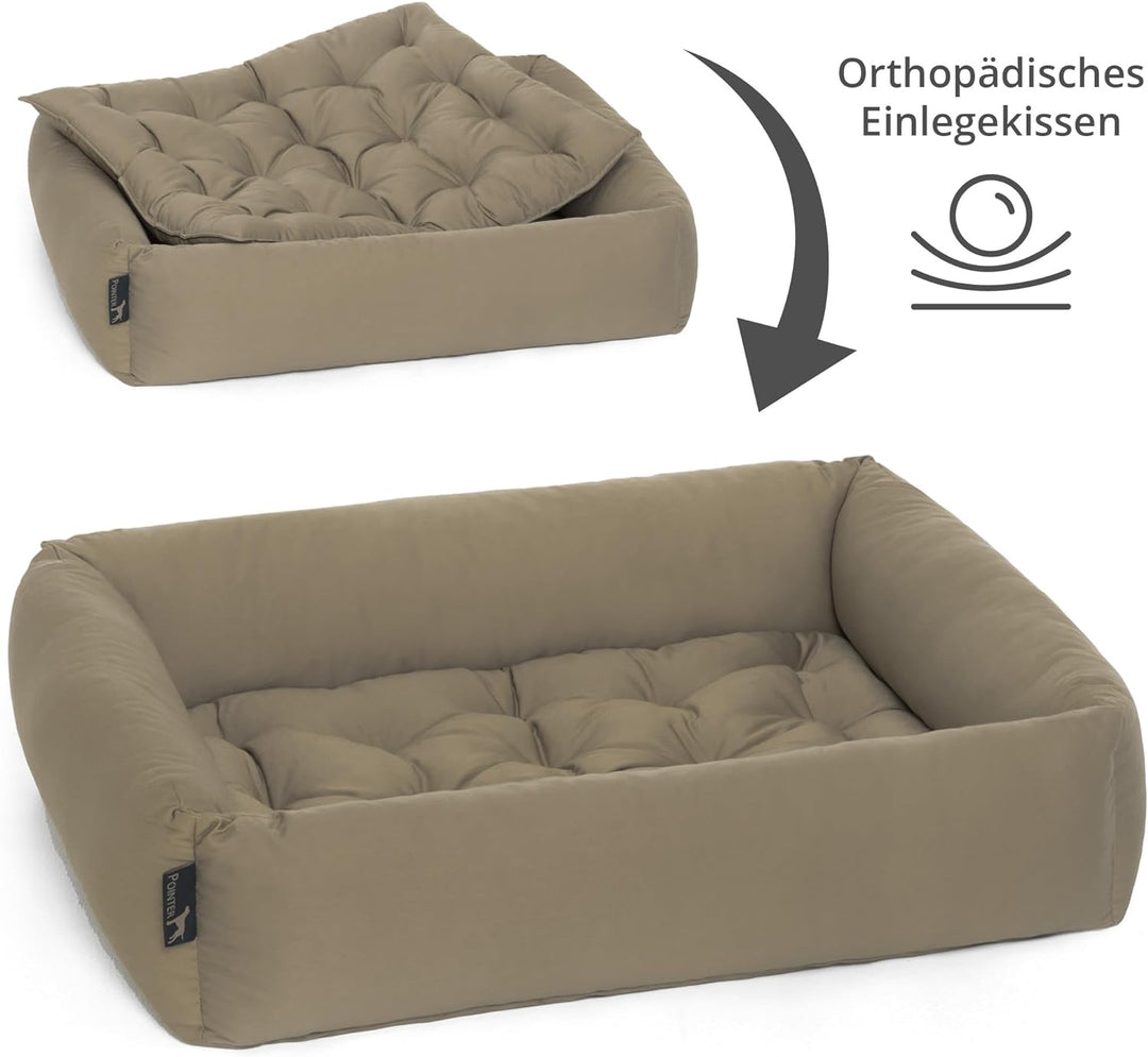 Doctor Bark Pointer | Hundebett mit Hundekissen - orthopädisch, waschbar, bequem (M - 70x60 cm, Beig