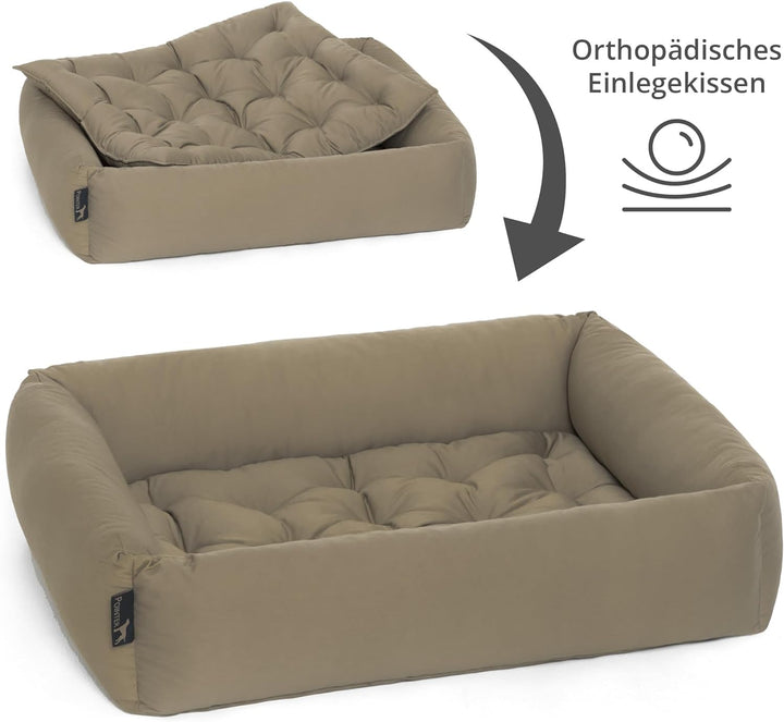 Doctor Bark Pointer | Hundebett mit Hundekissen - orthopädisch, waschbar, bequem (M - 70x60 cm, Beig