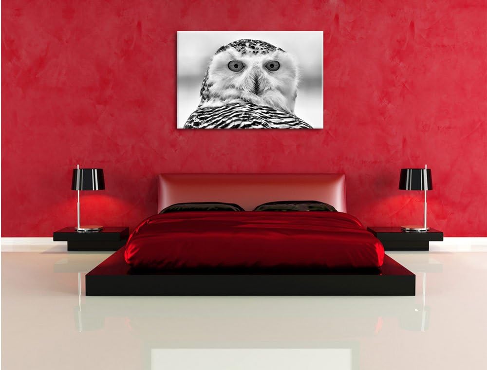 Monocrome, Schnee-Eule , Format: 100x70 auf Leinwand, XXL riesige Bilder fertig gerahmt mit Keilrahm
