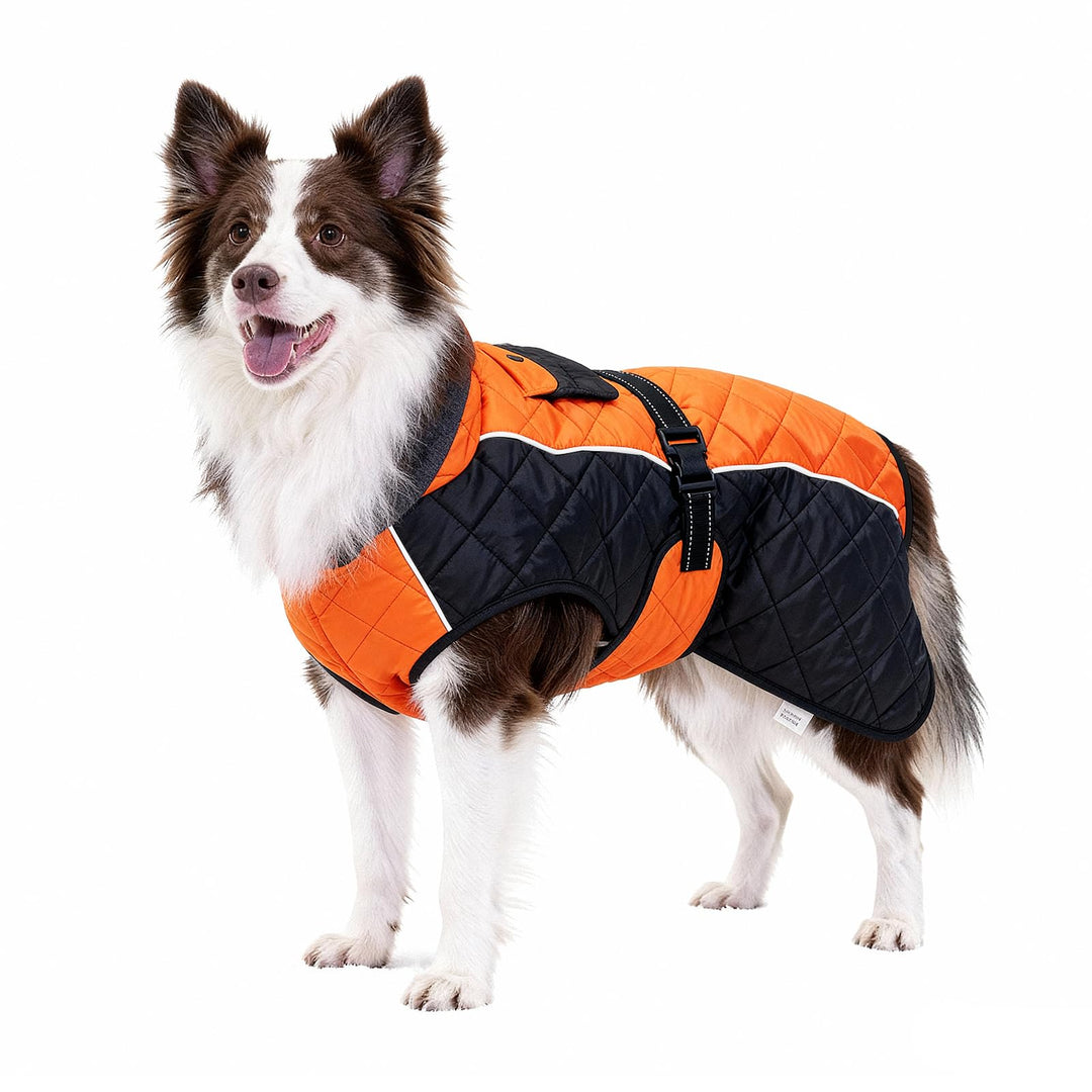 BECROWM Hundemantel mit reflektierendem Design, Winddicht und wasserdicht, verdickter Kragen für Win