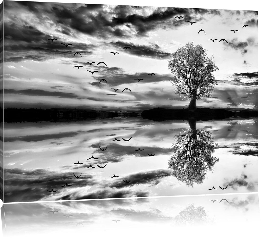 Pixxprint Monocrome, Einsamer Baum spiegelt Sich im Wasser, Format: 100x70 auf Leinwand, XXL riesige