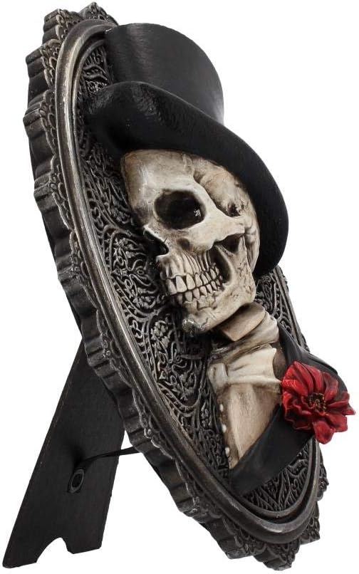 Nemesis Now Schönes Wandschild, 24 cm, grau, Polyresin, 22 cm