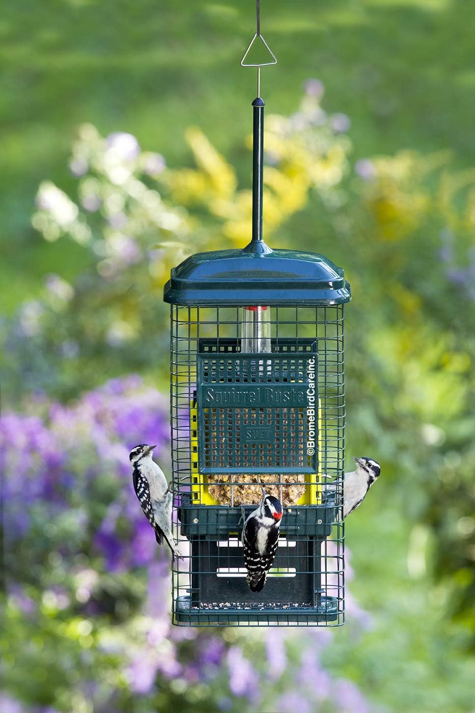 Squirrel Buster Talg Eichhörnchensicher Talg Vogelfutterstation mit Zwei Talgkuchenschalen, Zwei Krü