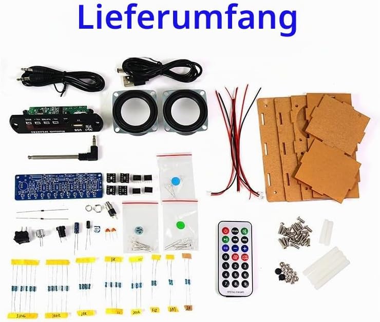 DIY Elektronik Lautsprecher Löten Bausatz,Löt Bausatz Lautsprecherkit Bluetooth mit FM,DIY Elektroni