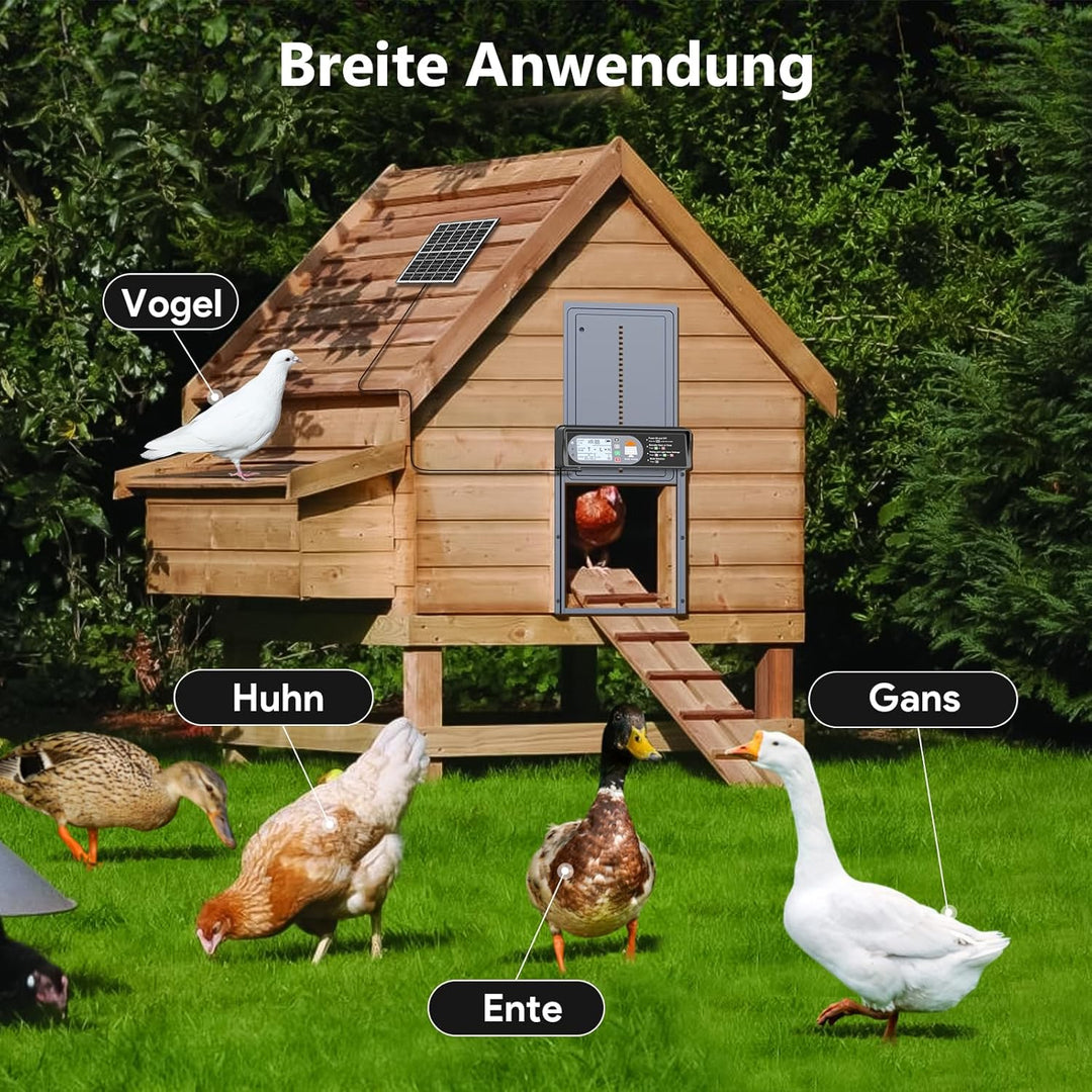 CHAMUTY Aluminum Automatische Hühnerklappe Solar, Hühnerklappe Automatisch mit LED Display, Lichtsen