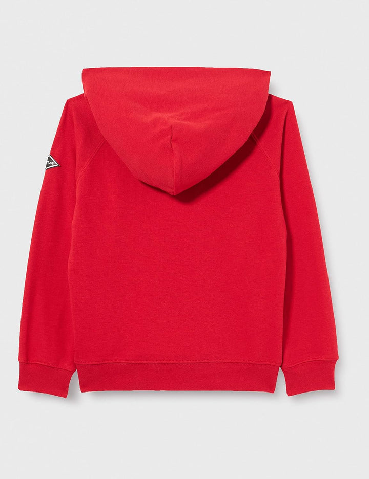 Replay Jungen Kapuzenpullover 4 Jahre 559 Geranium Red, 4 Jahre 559 Geranium Red