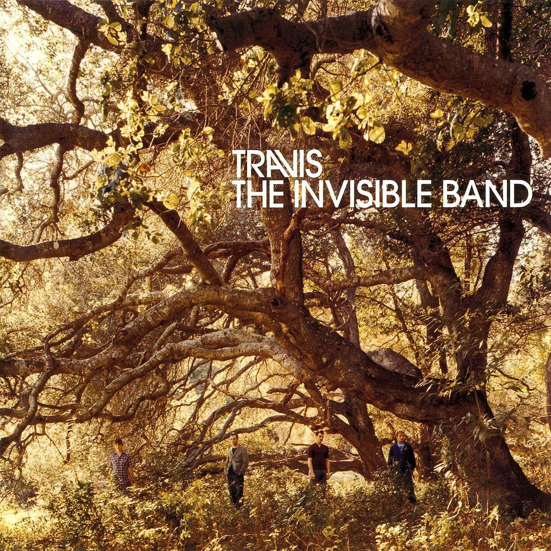 The Invisible Band (Ltd. Box), Vinyl